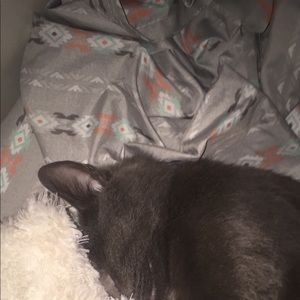 Meet your Posher, Ashleigh